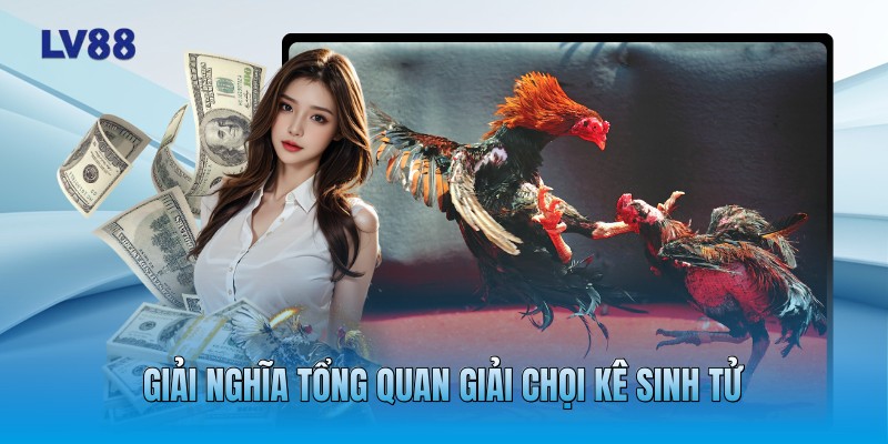 Giải nghĩa tổng quan giải chọi kê sinh tử